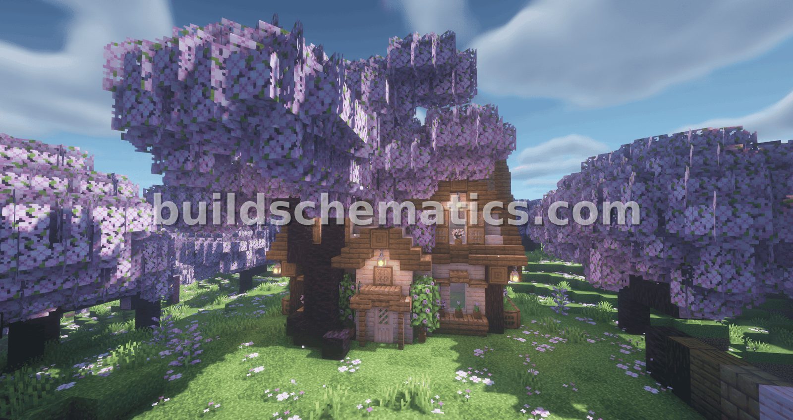 Schematic preview