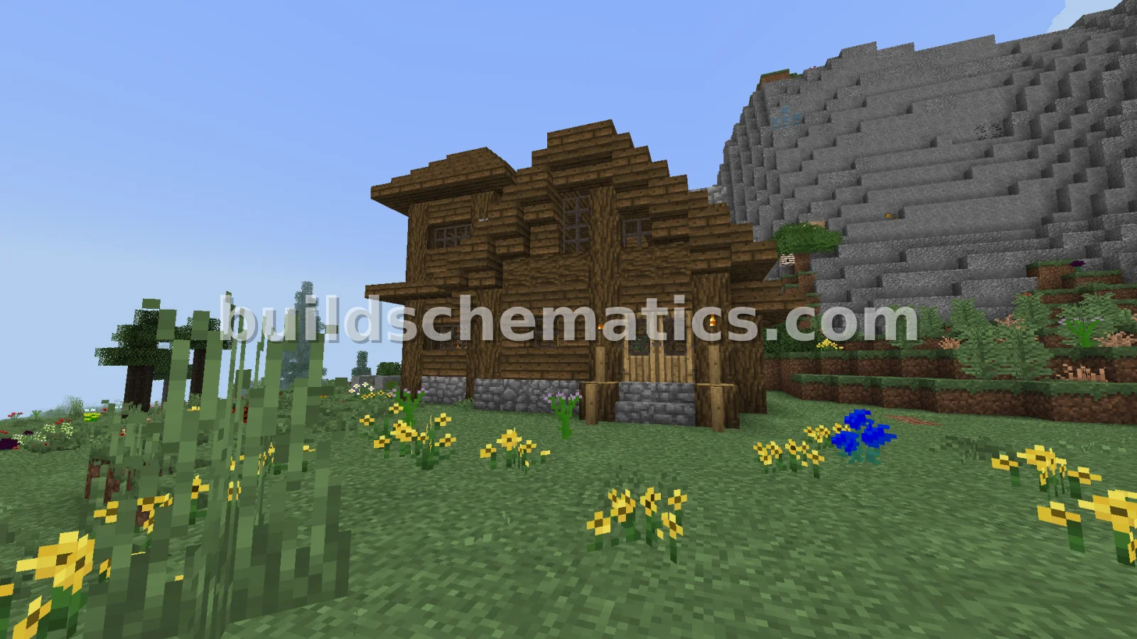 Schematic preview