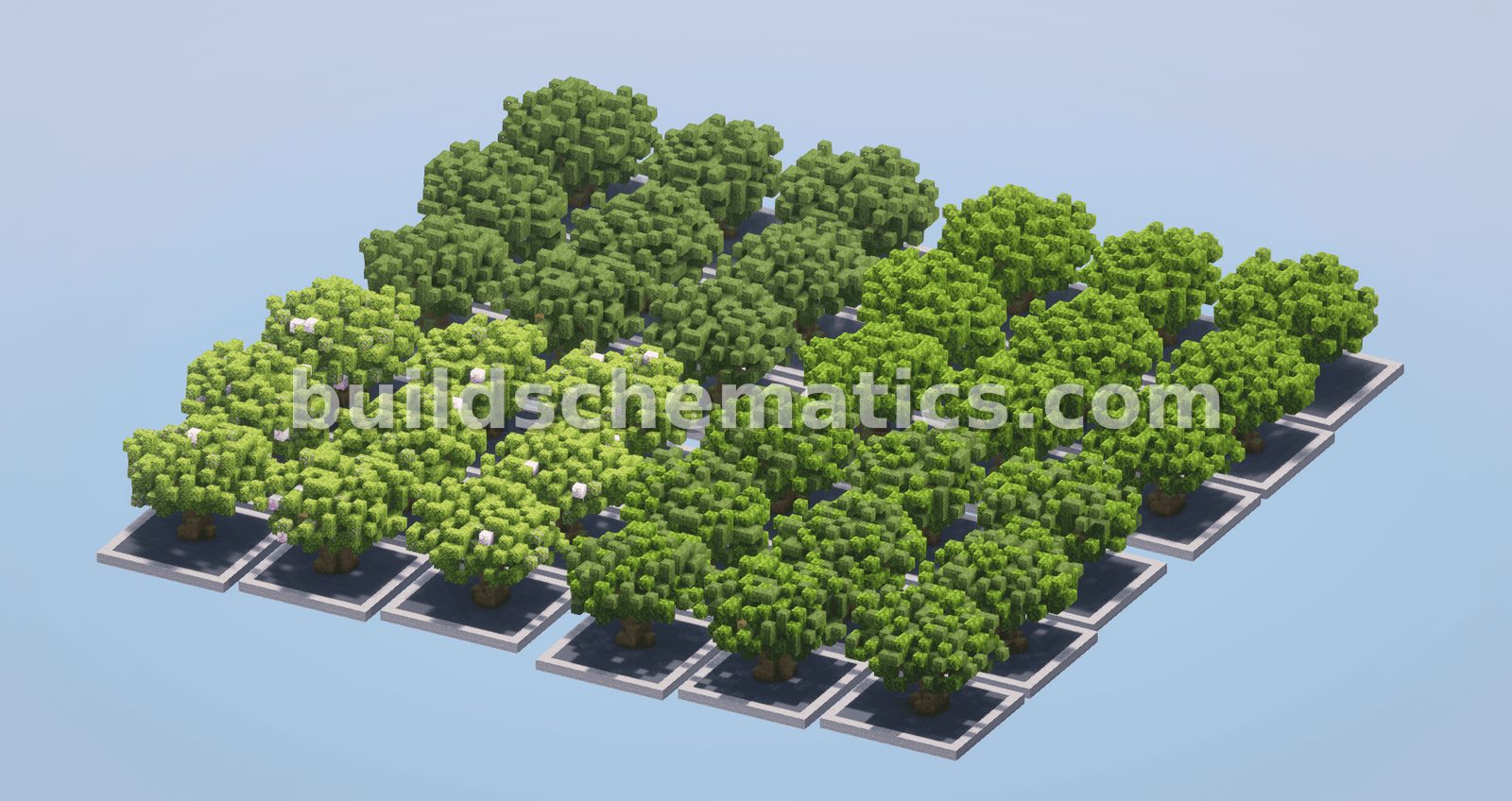 Schematic preview