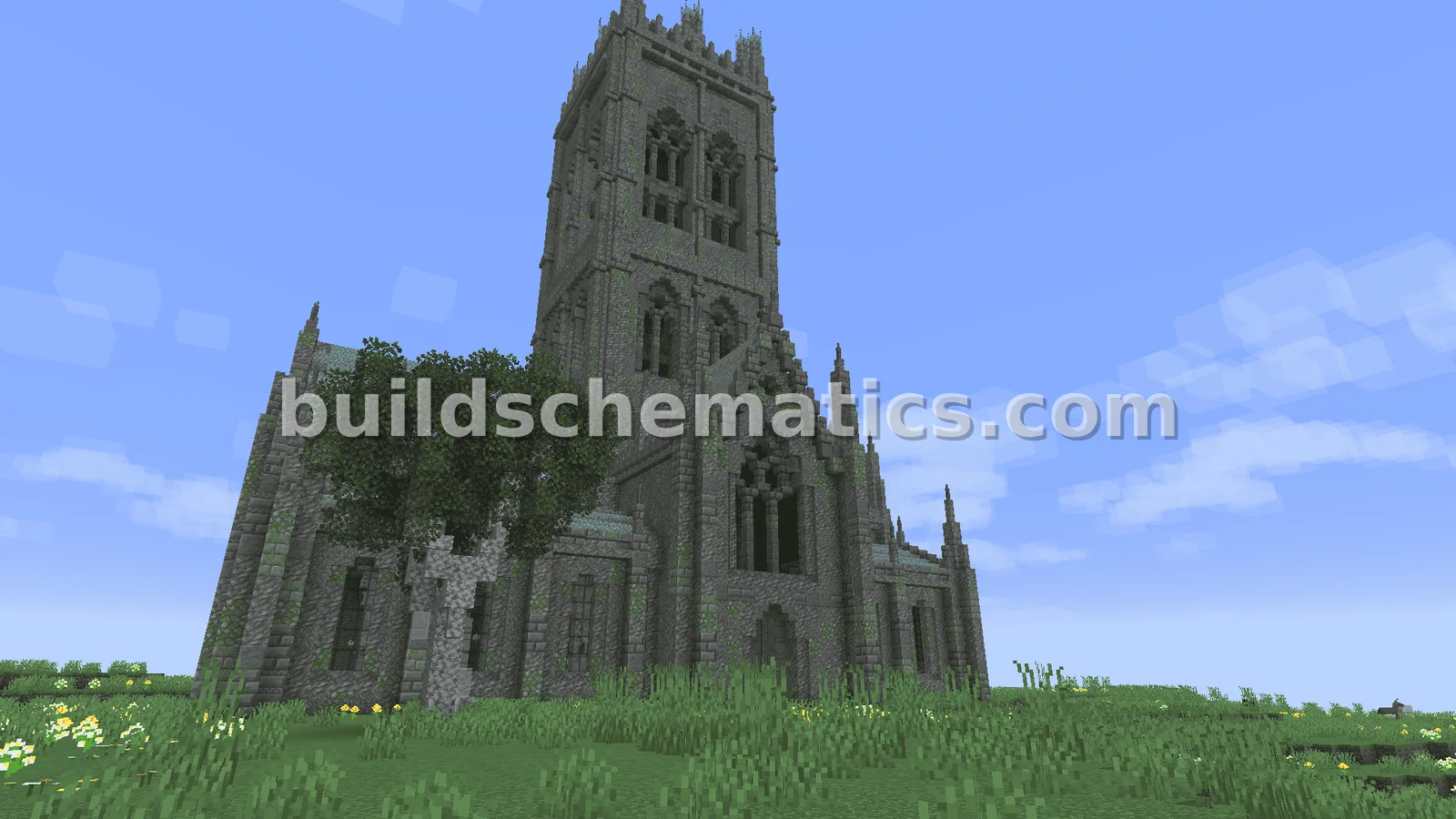 Schematic preview