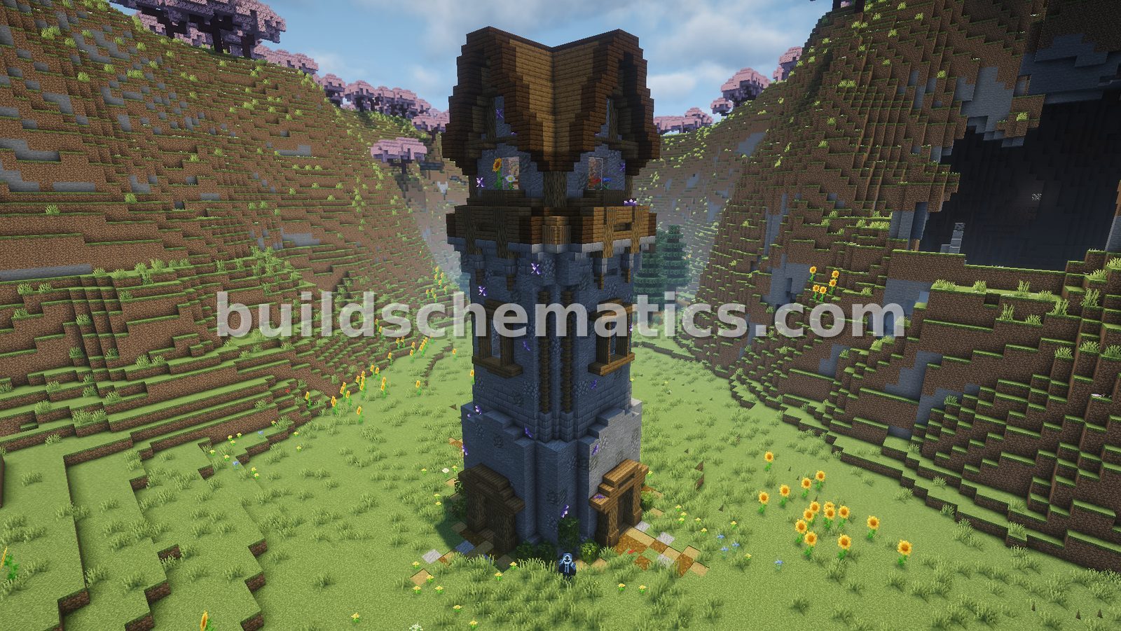 Schematic preview