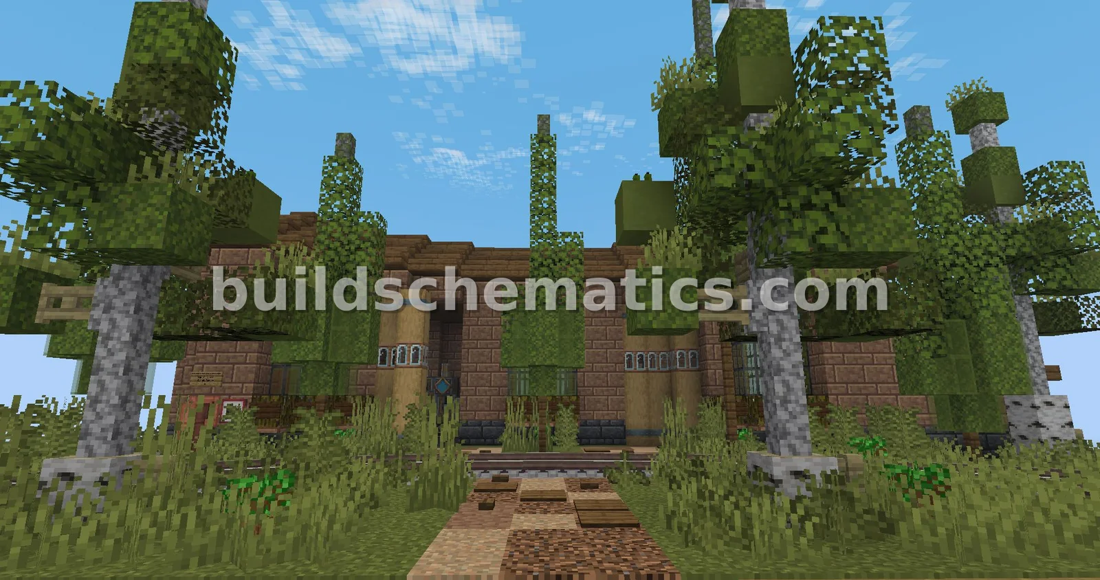 Schematic preview