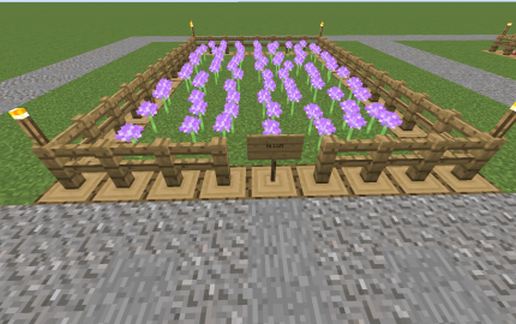 Schematic preview