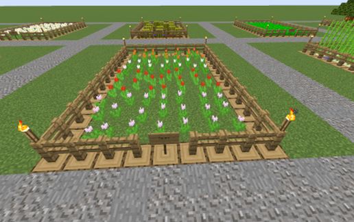 Schematic preview