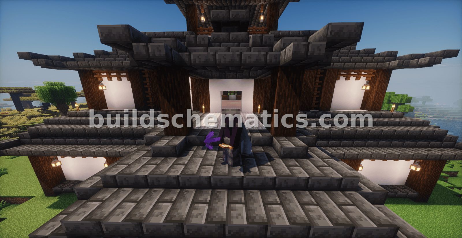 Schematic preview