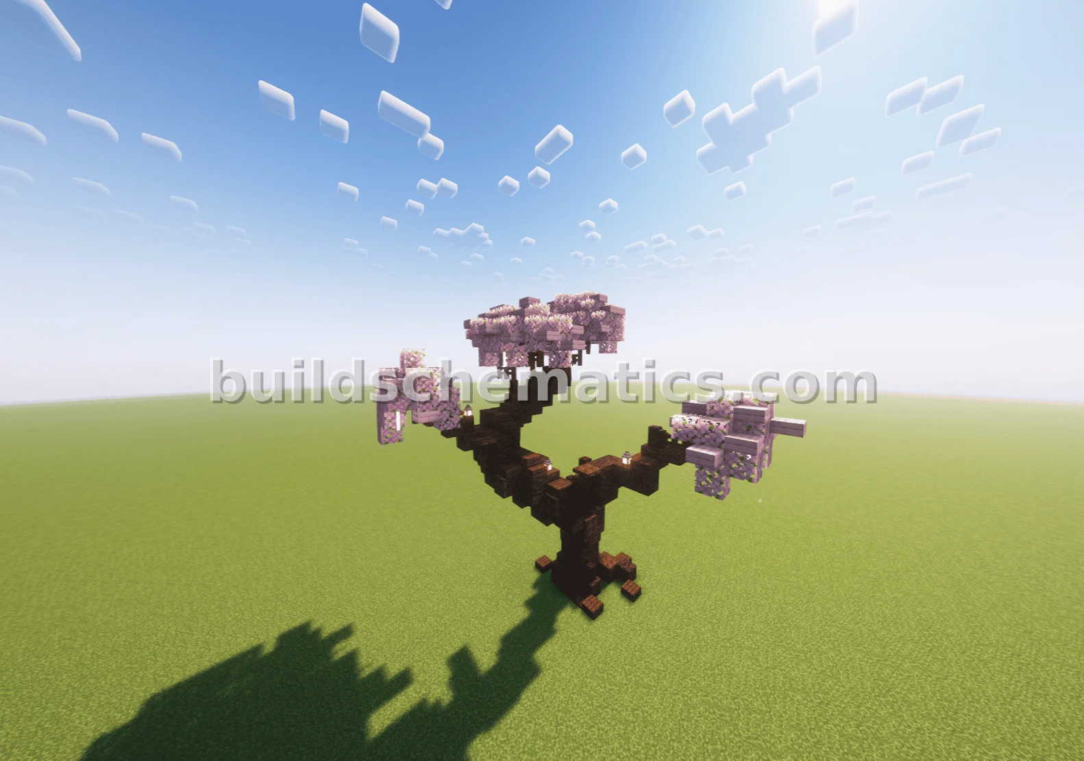 Schematic preview