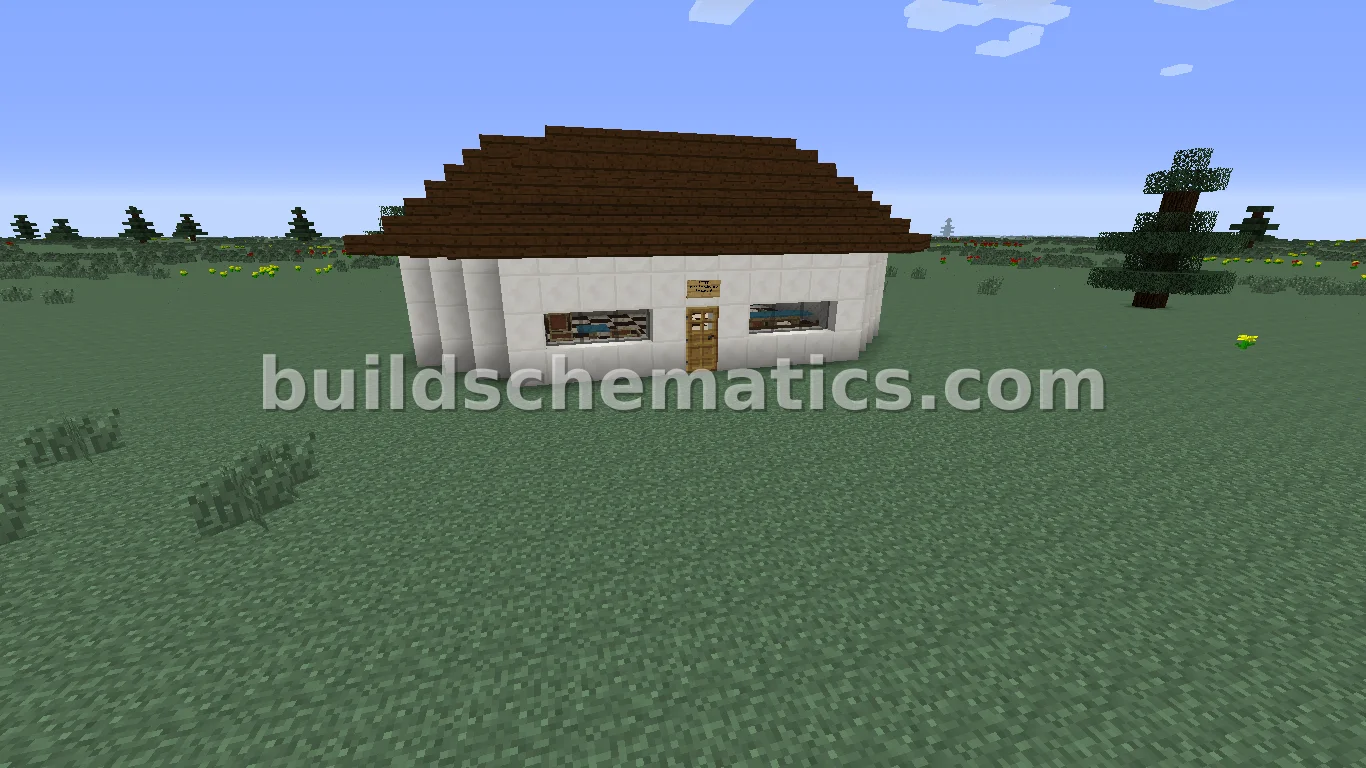 Schematic preview