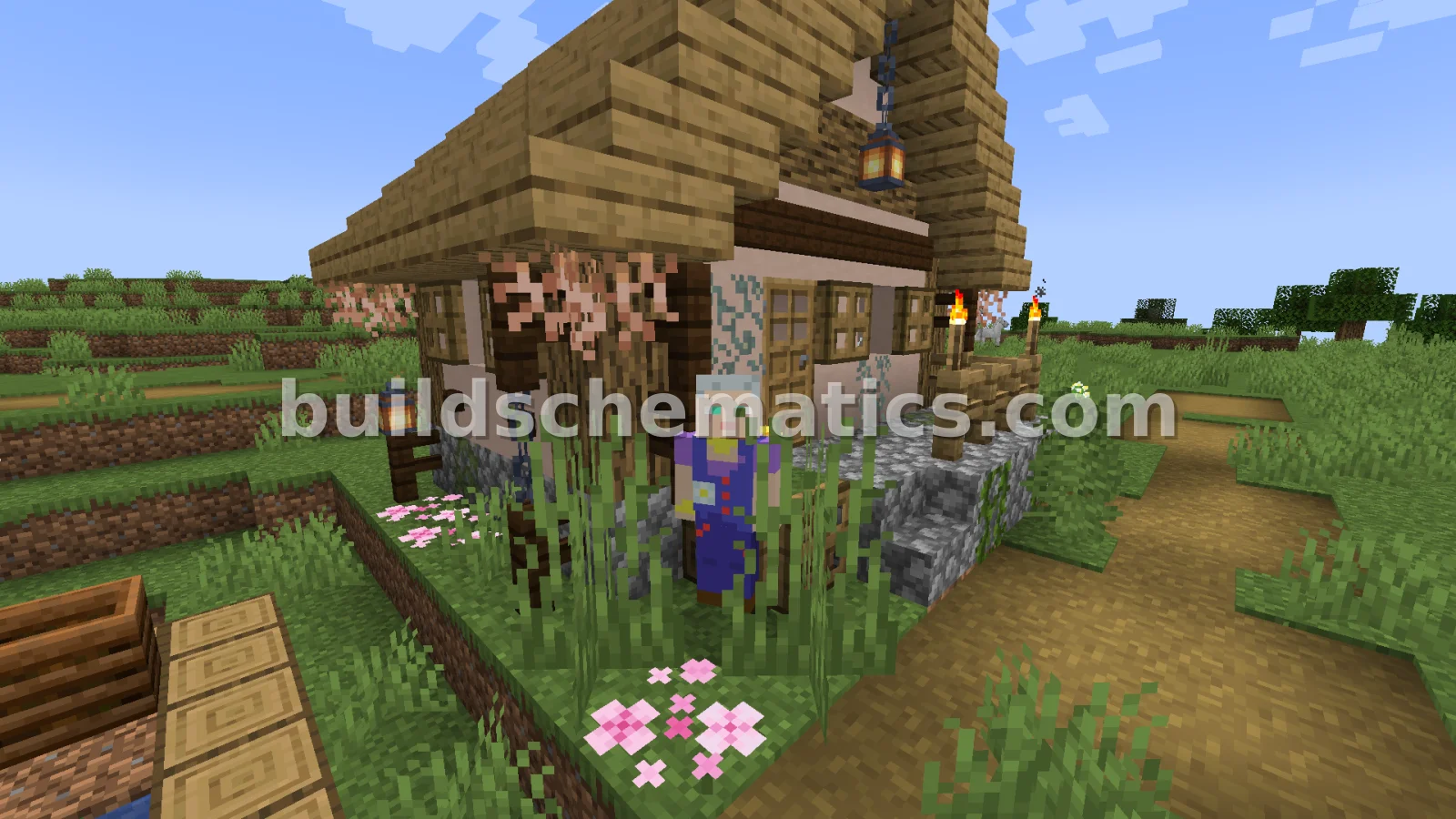 Schematic preview