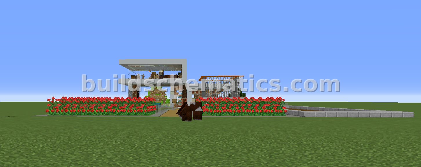 Schematic preview