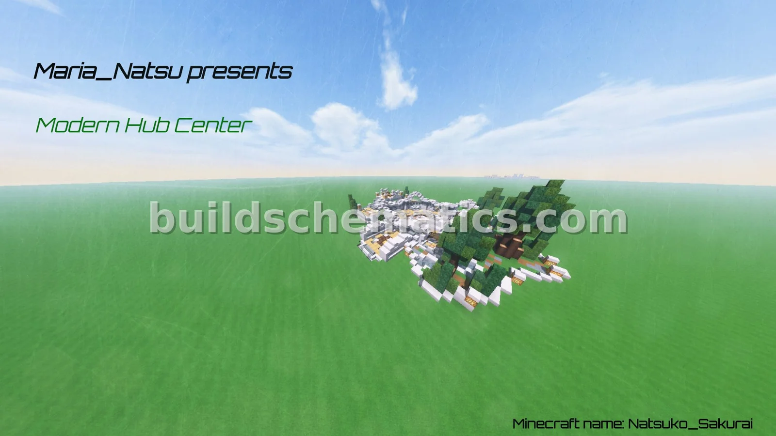 Schematic preview