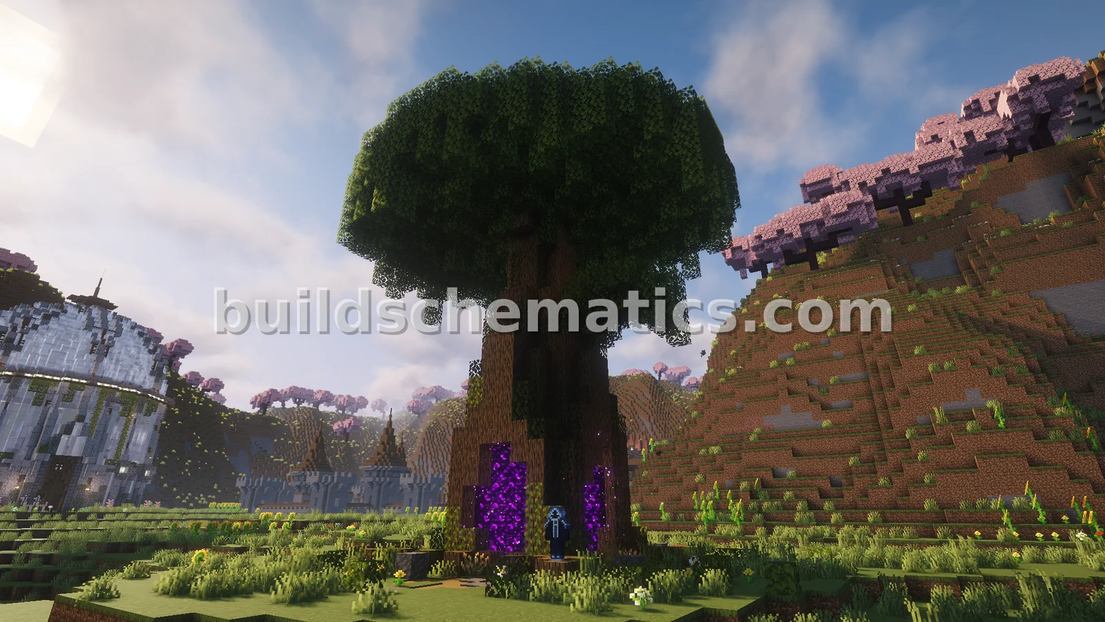 Schematic preview