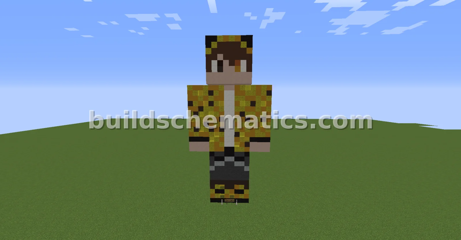 Schematic preview