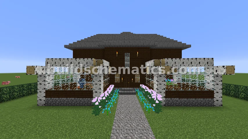 Schematic preview