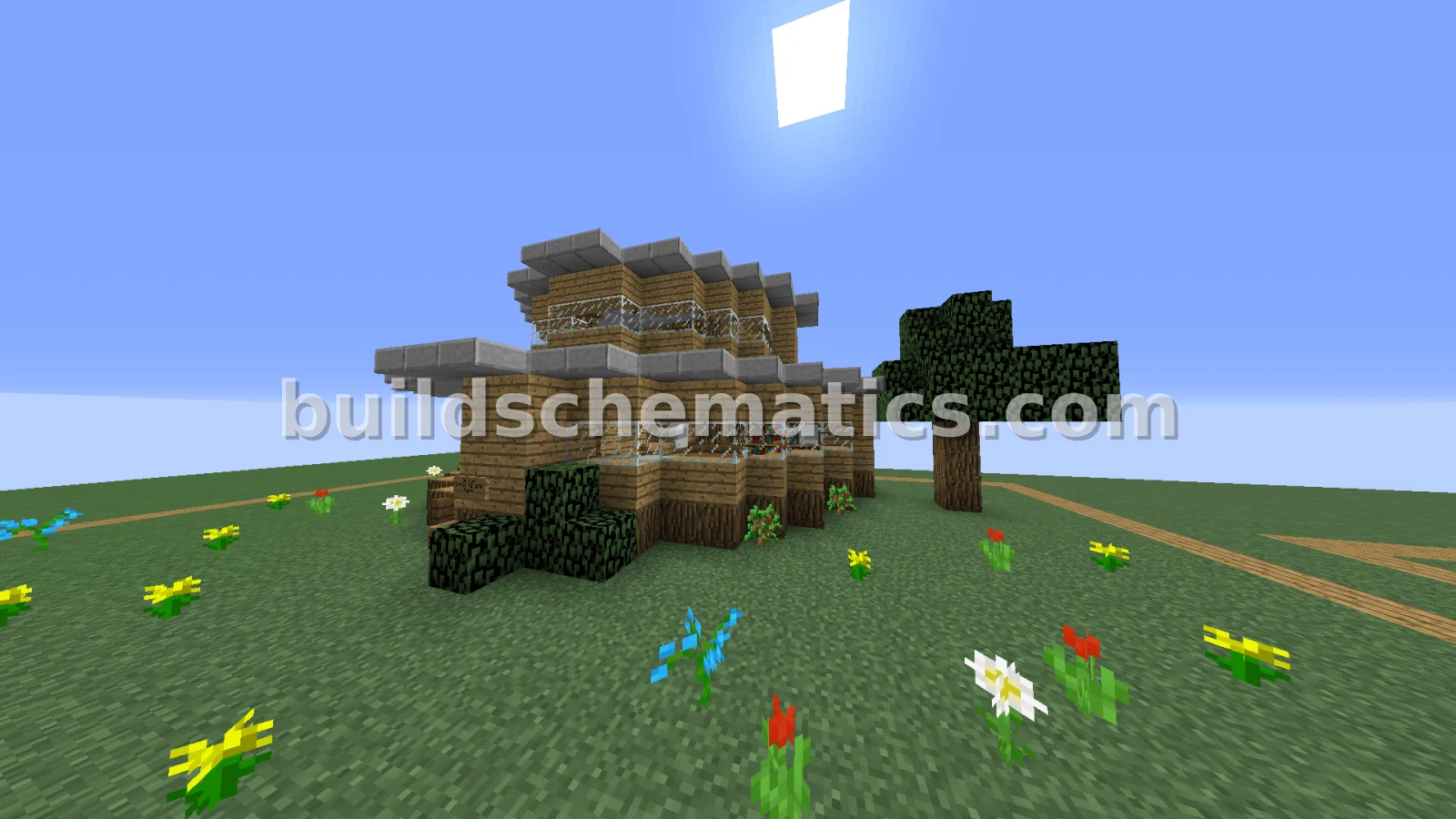 Schematic preview
