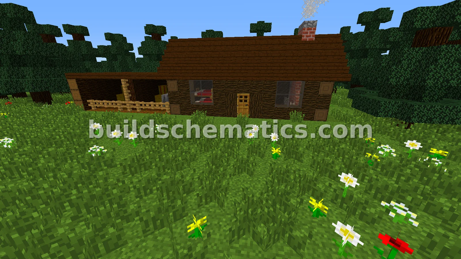 Schematic preview