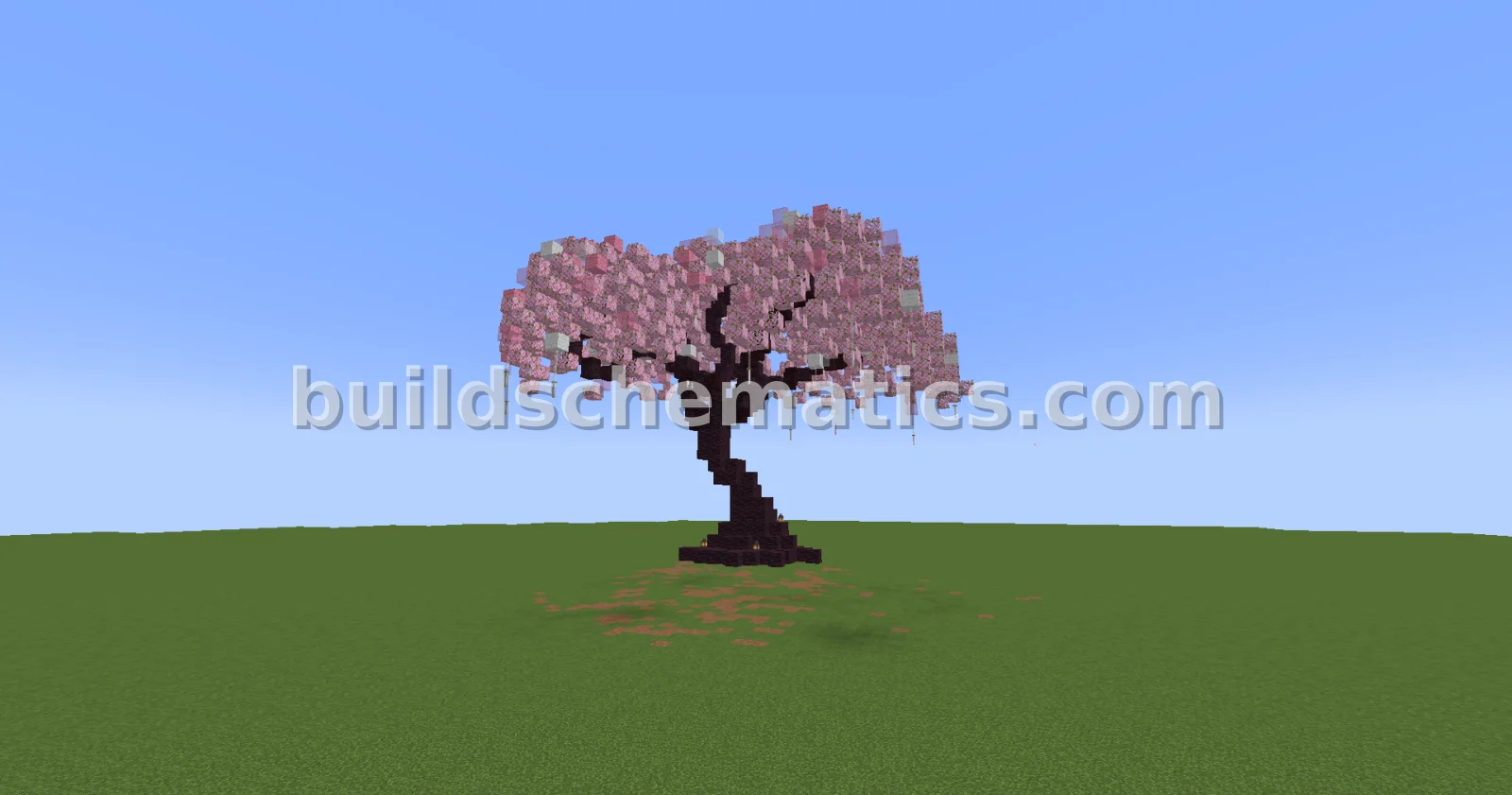 Schematic preview