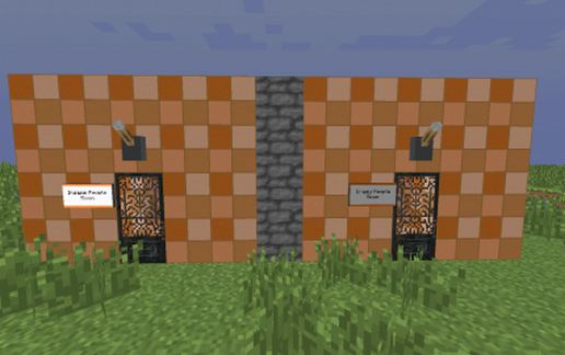 Schematic preview