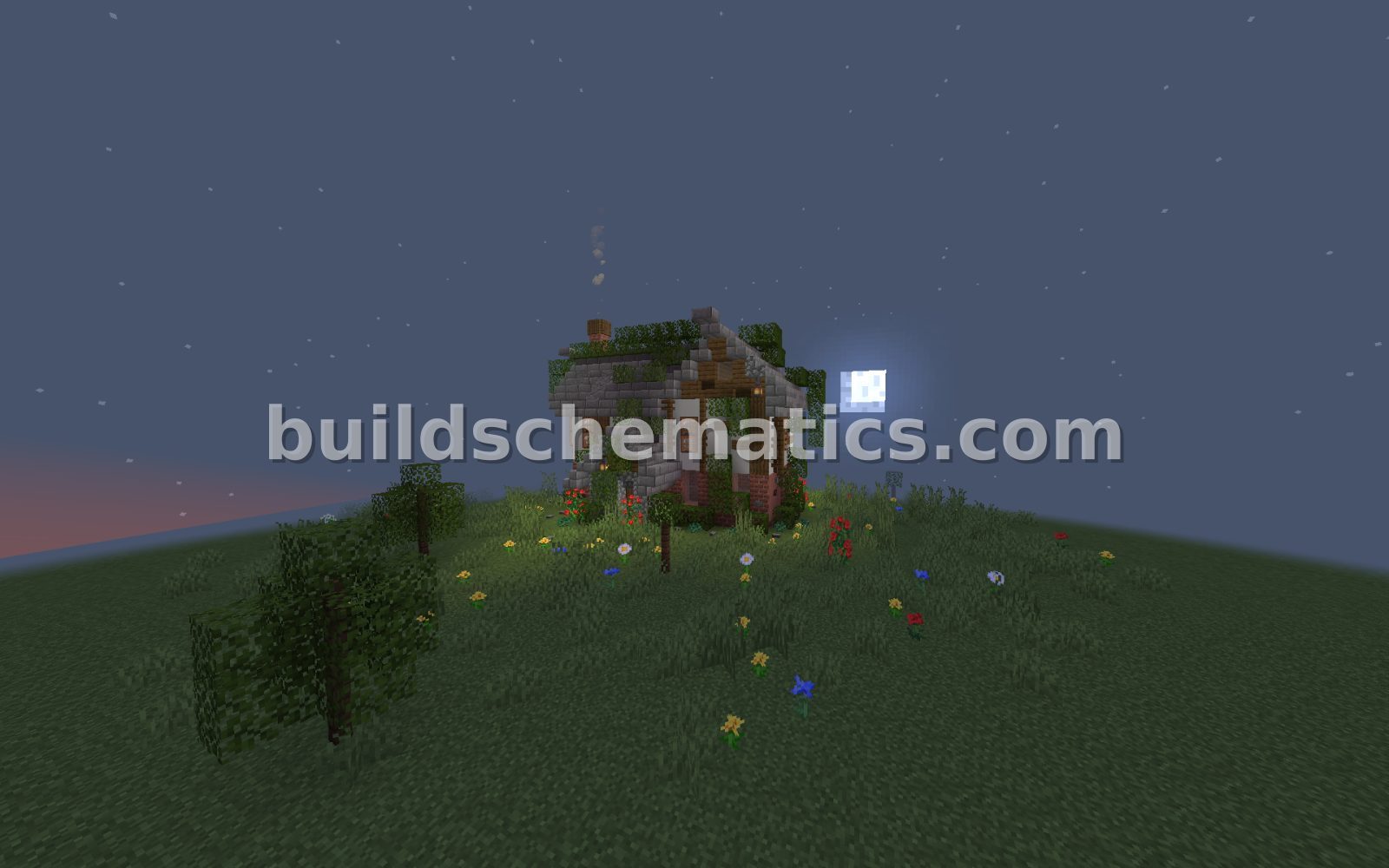 Schematic preview