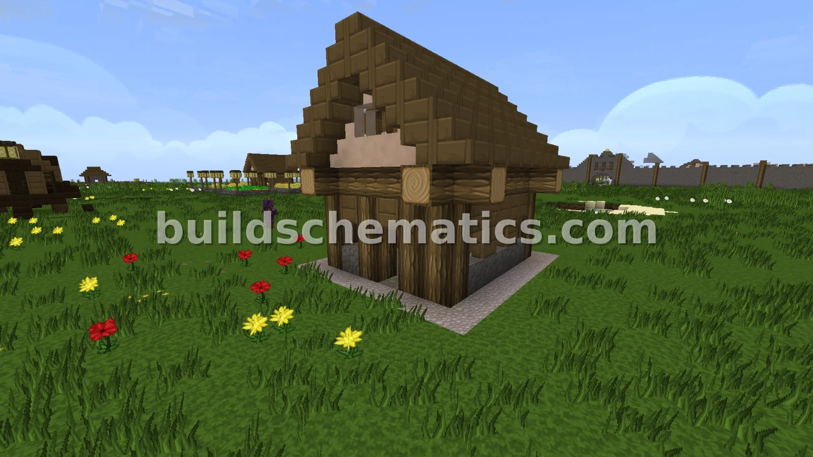 Schematic preview
