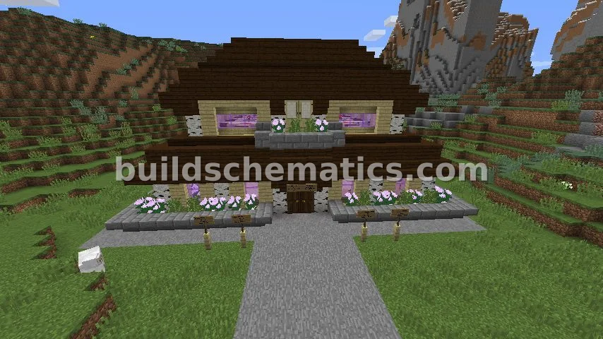 Schematic preview