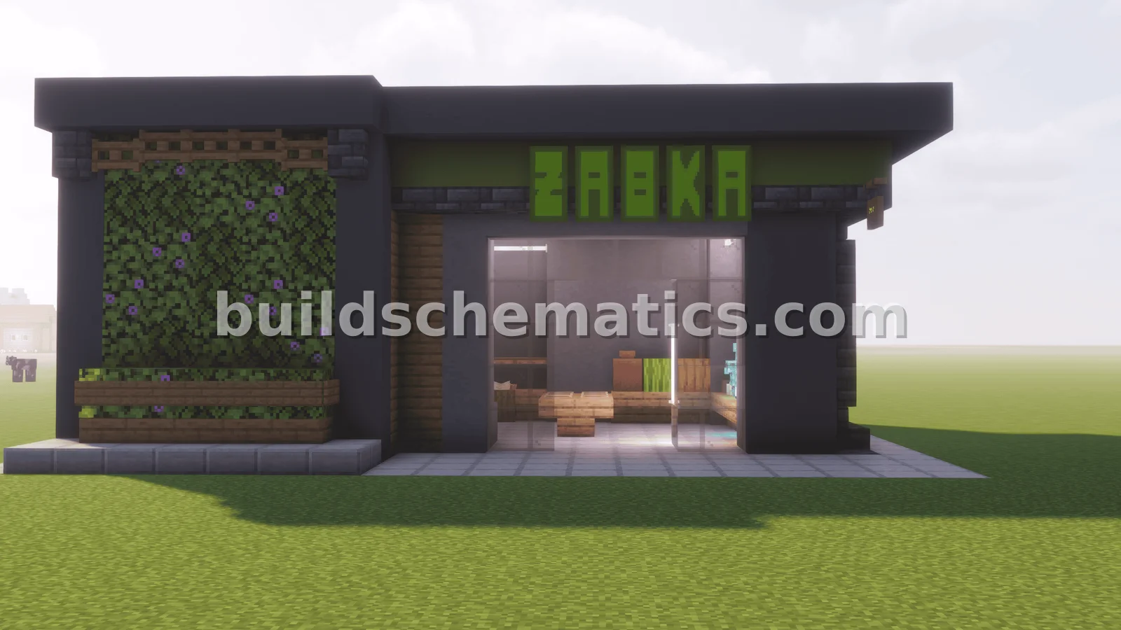Schematic preview